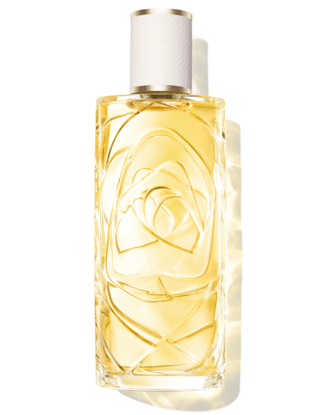 lancome-weitere-dufte-les-o-o-de-zenith-edt-100ml Lancôme weitere Düfte Les Ô Ô Zenith Eau de Toilette Spray